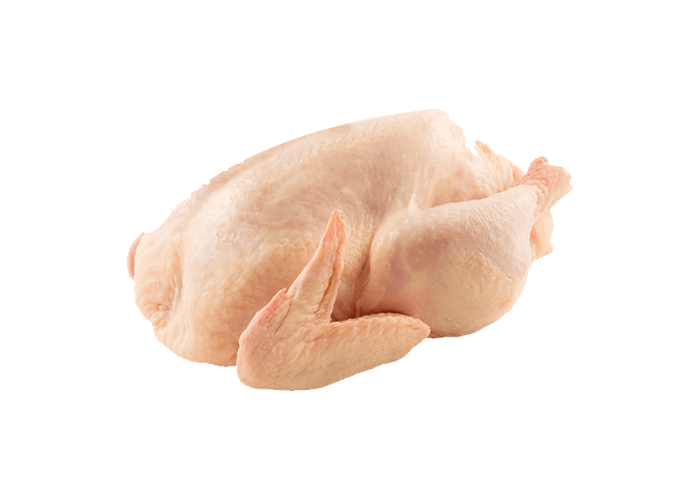 POULET